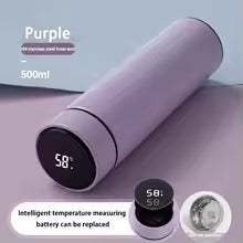 Stainless Steel Thermos Bottle with LED Temperature Display