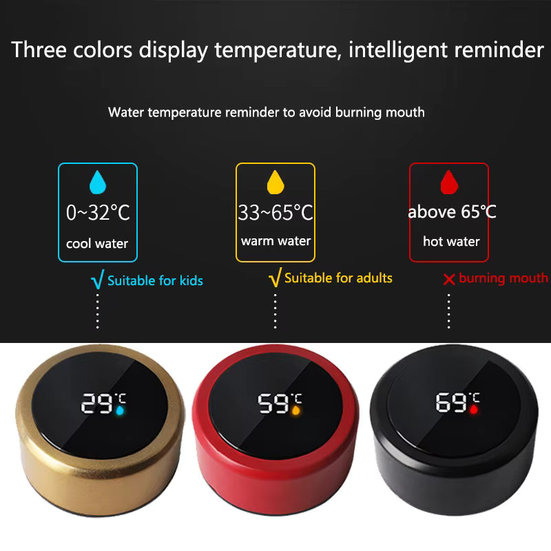 Stainless Steel Thermos Bottle with LED Temperature Display