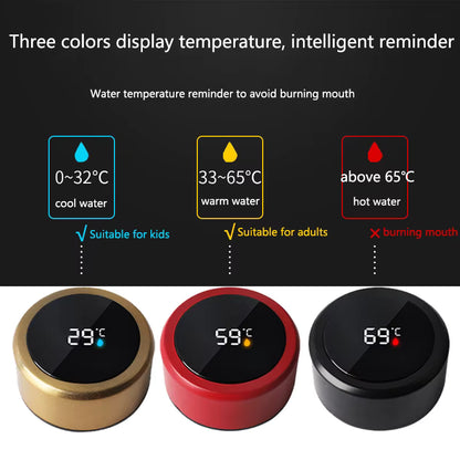 Stainless Steel Thermos Bottle with LED Temperature Display